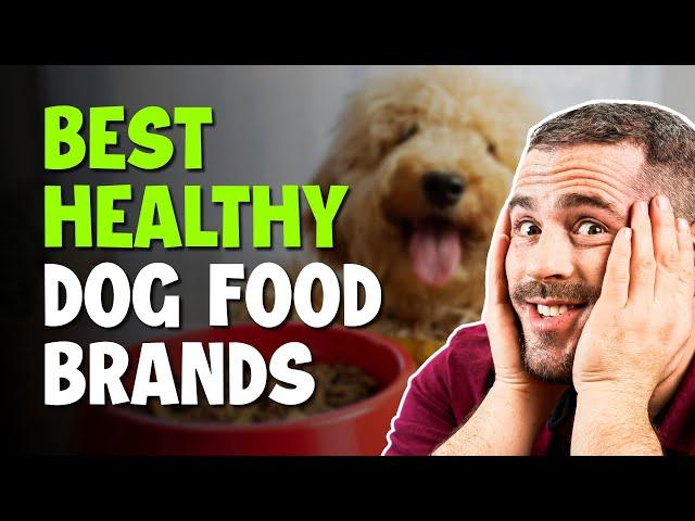 Healthiest Dog Foods Ranked