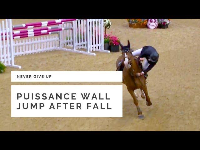 Puissance wall jump after fall (Dominic Webb at HOYS 2018)