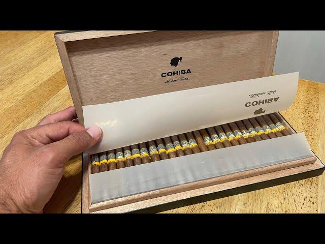 Cohiba Shorts Limited Edition Humidor