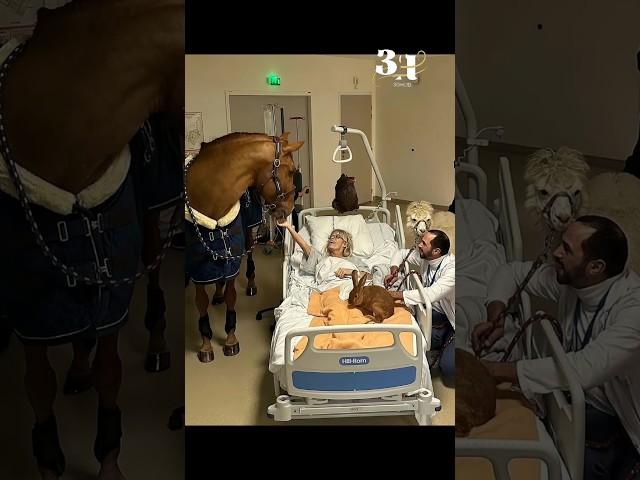 Dr. Peyo: The Horse Doctor Saving Lives