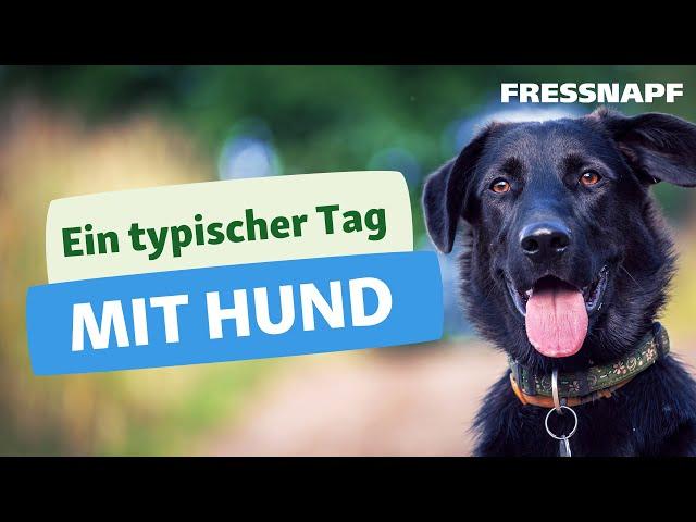 Alltag mit Hund | Leben mit Haustier | FRESSNAPF