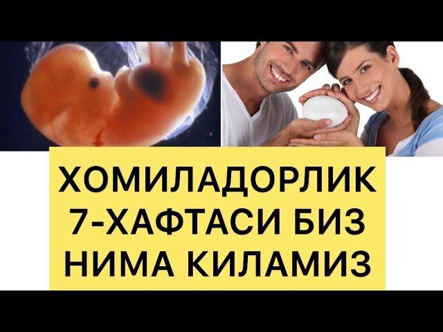 Хомилангиз 7-хафтаси бизни нималар кутмокда