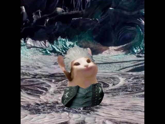 bury the light but vergil is pop cat