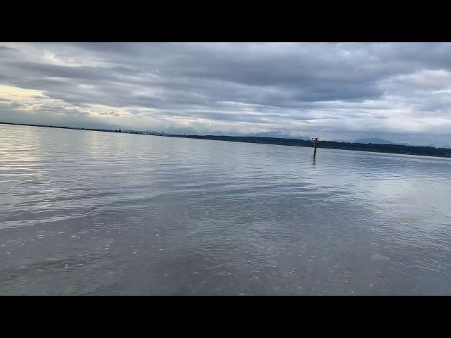 Ваше желание 100% исполнится! Настройка на канал МОРСКАЯ ВОДА. Колена Таро