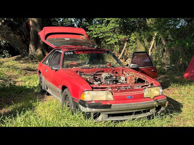 8 Years of U-tube! Plus TH outta the pasture? 1989 Mustang GT 5.0 Trojan Horse pt.103