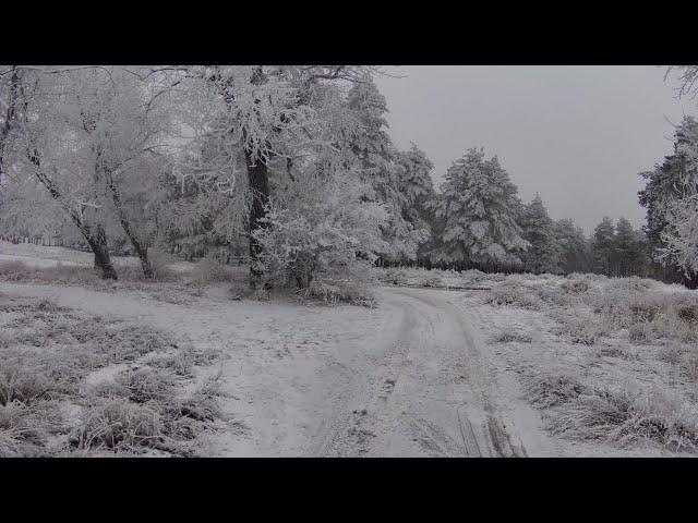 Зимняя дорога в сосны. Зимние пейзажи в 4к 60fps 2160р. Зимние футажи. Релакс-видео.