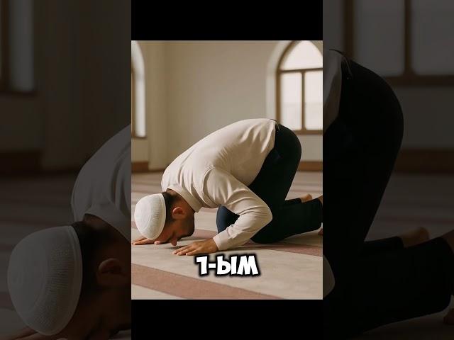 Куда надо смотреть во время намаза..#quran #намаз #ислам #религияислам #الله