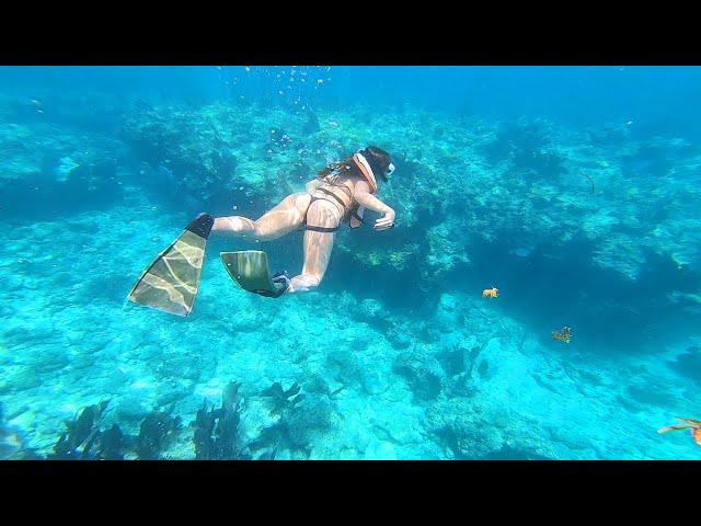 Snorkeling | Key West, Florida (World's Third Largest Coral Reef)