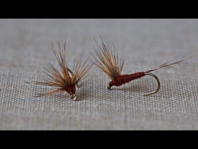 Fly Tying - Comparadun