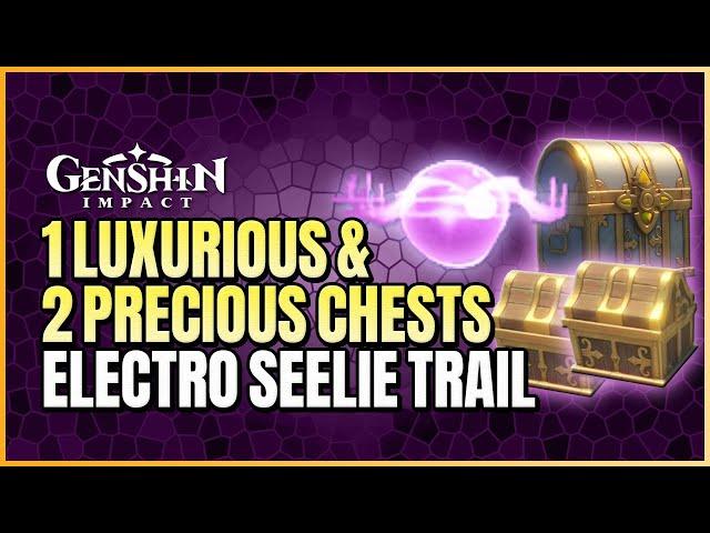 Secret 1 Luxurious And 2 Precious Chests In Watatsumi | Electro Seelie Puzzle Guide