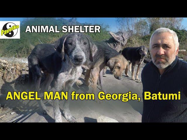 Angel Man from Georgia, Batumi. Animal shelter