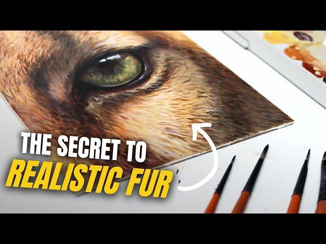 I Wish I Knew This About Painting Realistic Fur