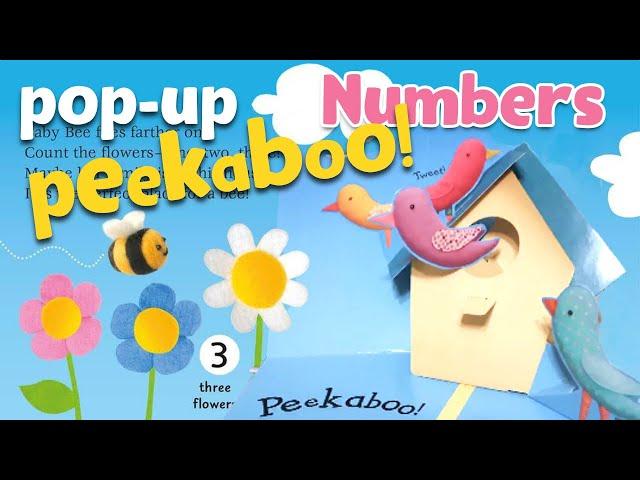 Pop Up Peekaboo! Numbers | Pop Up Book for Kids | Stories for Kids | Read Aloud