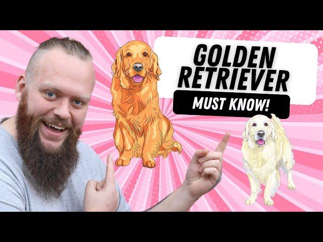 3 THINGS TO KNOW BEFORE GETTING A GOLDEN RETRIEVER