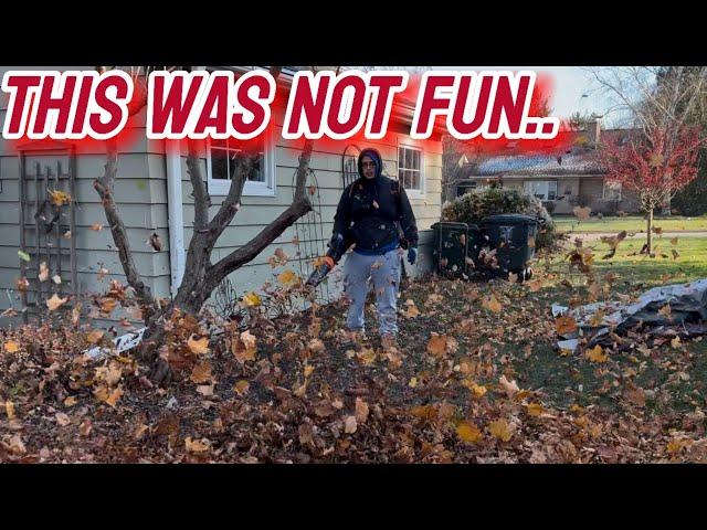 FREEZING Cold Cleanup! Late Fall Leaf Removal Before Winter Hits Hard