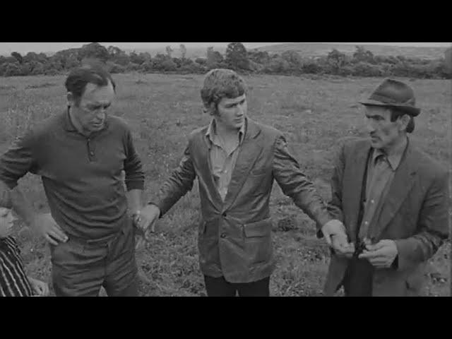 Haggling Over A Horse, Co. Kerry, Ireland 1973