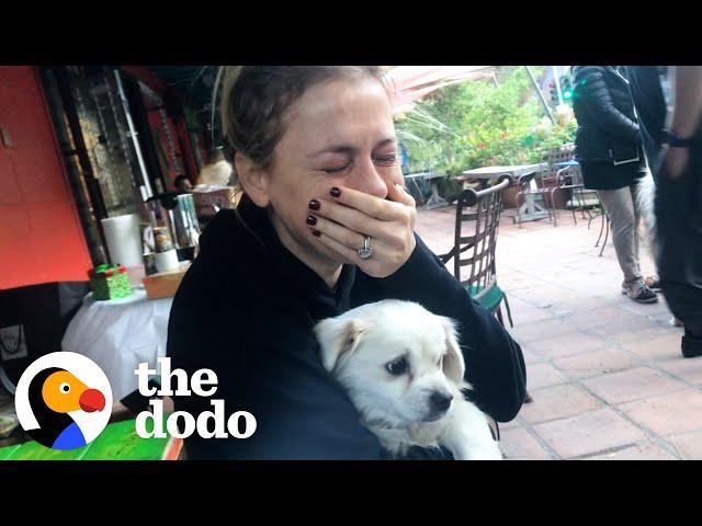 Iliza Shlesinger Cries Happy Tears Meeting New Rescue Dog | The Dodo You Know Me Now Meet My Pet