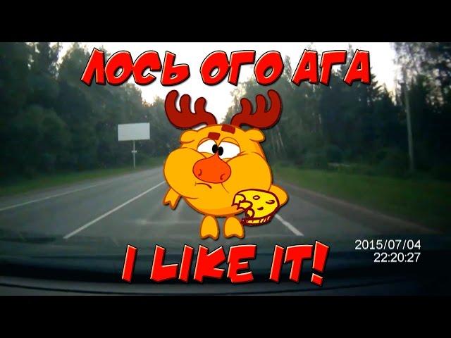 Лось ого ага (That's the Way I like it)