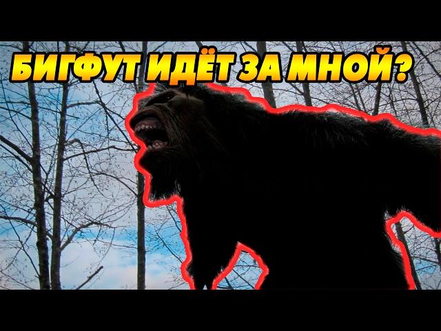 Я охочусь на Бигфута или он на меня? [Finding The Bigfoot]