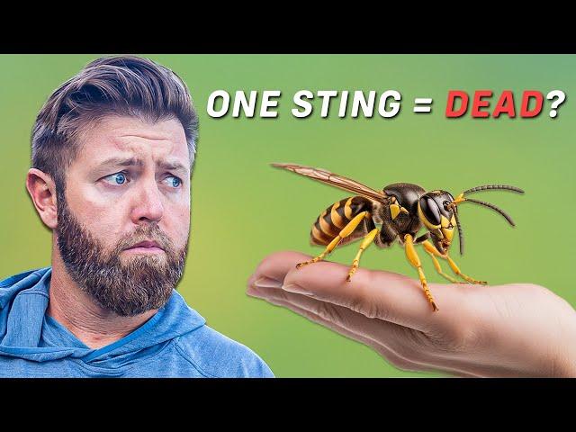 10 Most Dangerous Insects In The World