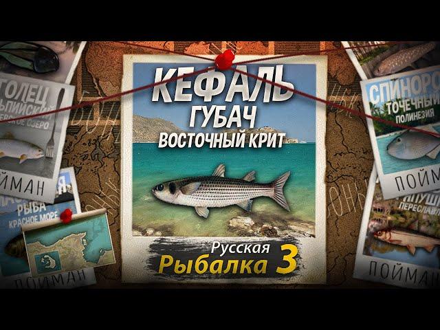 "Мутант" Кефаль-Губач. Восточный Крит. Русская рыбалка 3