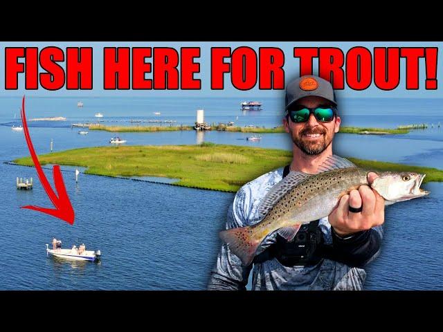 Hot Summer Fishing for BIG Speckled Trout at Stone Island, Louisiana - Unbelievable Action!