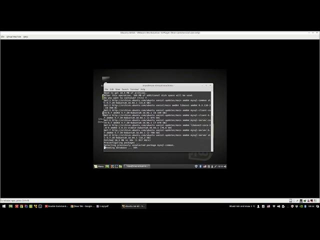 SQL 3: Установка MySql на Linux