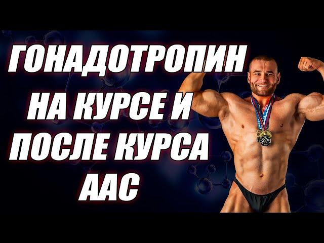 Как колоть ХГЧ на курсе стероидов? Гонадотропин на курсе и после курса.