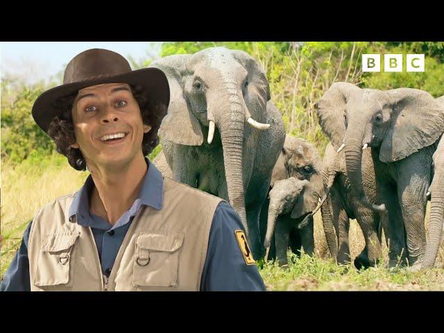 LIVE: Endangered Wildlife | Discover Animals with Andy | Andy's Adventures