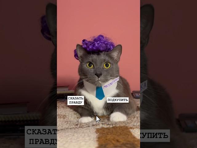 КОТИКИ В ШКОЛЕ - ИГРА 4 серия