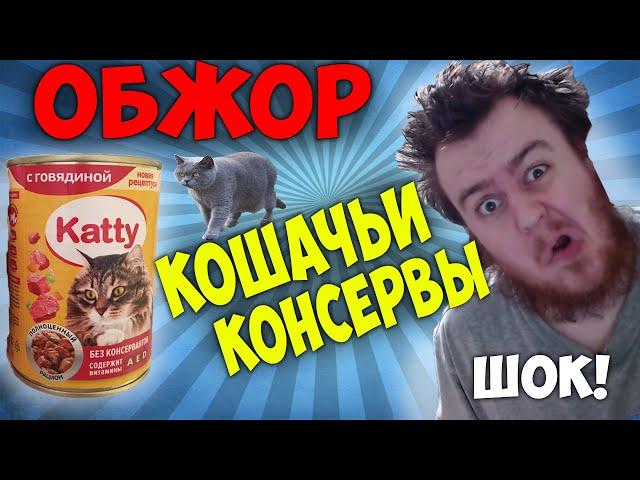 Обжор: Дешёвые кошачьи консервы Katty! ЭТО ШОК... (Мукбанг)