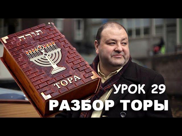 РАЗБОР ТОРЫ. УРОК 29. ШМОТ.