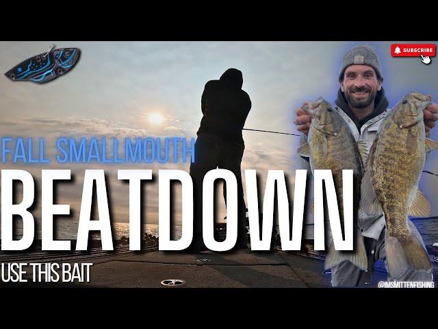 Bass Fishing Tips for Late Fall & Winter – Catch Big BASS in Cold Water! EP: Blade bait