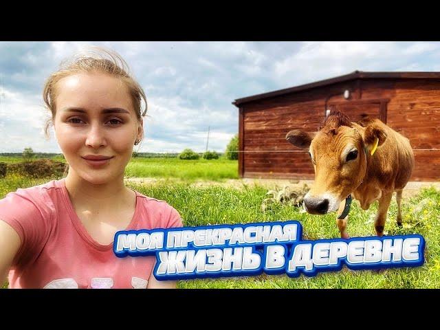 ИЮНЬ - отдыхать некогда! Варим творог! Спасаем УТЯТ! Молодая Ферма
