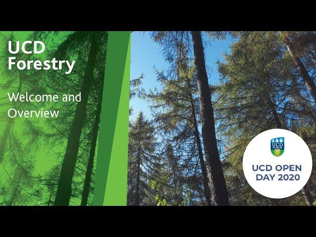 Studying Forestry at UCD - UCD Open Day 2020