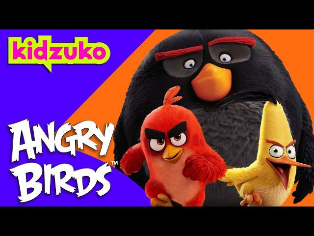  Action-Packed Silly Fun with Red and Friends!  | Angry Birds | Compilation | @Kidzuko