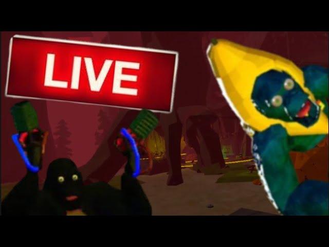 Playing Animal Company VR LIVE With VIEWERS