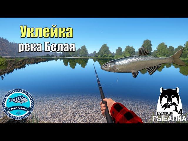 Уклейка на реке Белая. Отличный клёв - Русская Рыбалка 4