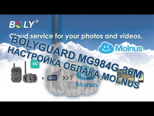 Bolyguard MG984G-36M trail camera - how to setup Molnus cloud service