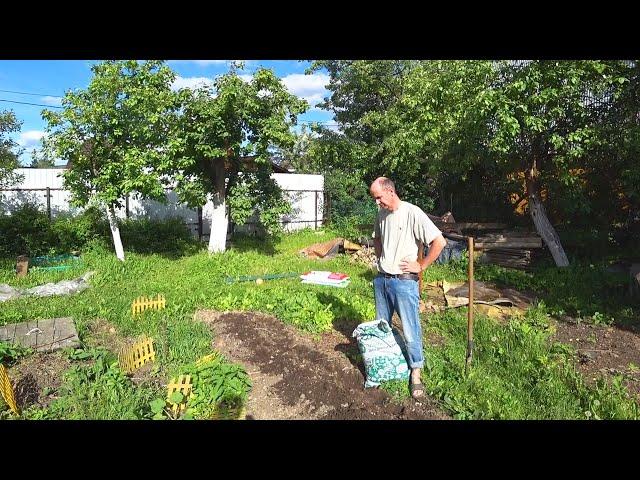 Russians Almost NEVER Plant This Vegetable in Their Garden / Different Russia