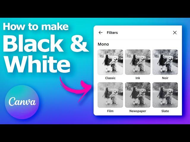 How to make image black and white in Canva free online