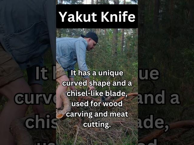 Axe Facts - Yakut Knife #smallaxe #axethrowing #didyouknow #vintageaxe