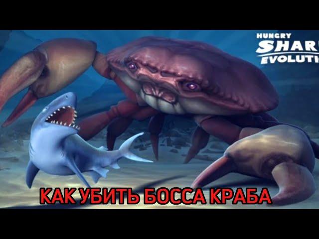 КАК УБИТЬ БОССА ГИГАНТСКОГО КРАБА В ИГРЕ Hungry Shark  (голодная акула)