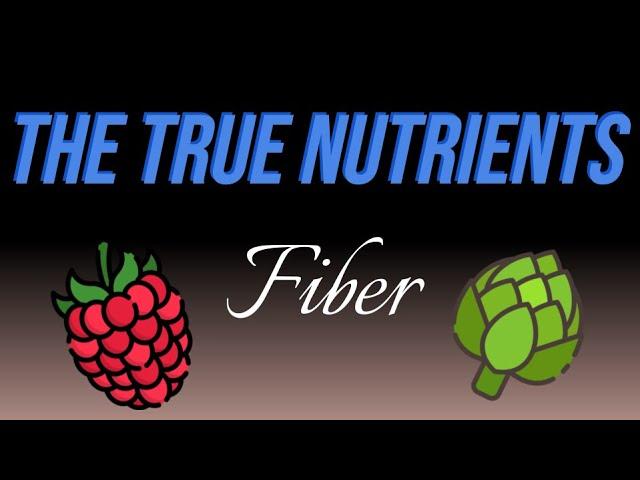 Fiber - The True Nutrients