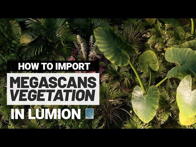 How to Import Megascans Vegetation in Lumion