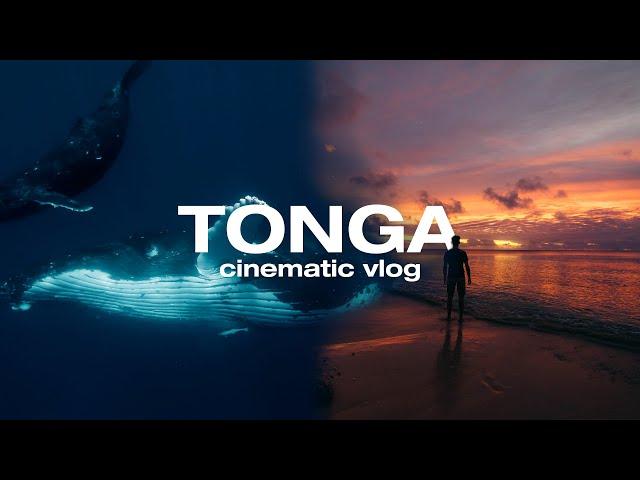 7 Days in Tonga: The Kingdom of Whales | Cinematic Vlog