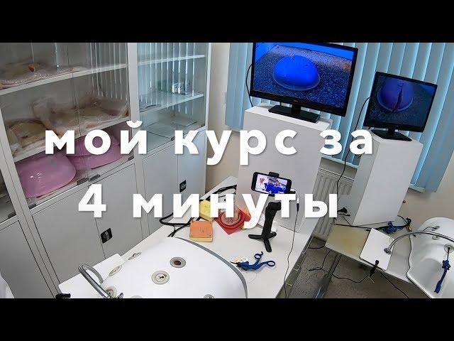 Курс лапароскопии за 4 минуты // Laparoscopic course by Zhaugashev