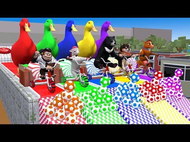 5 Giant Duck Cartoon,Cow,Mammoth,Lion,Ferdinand,Bear Paint Wild Animals Crossing Fountain Animation