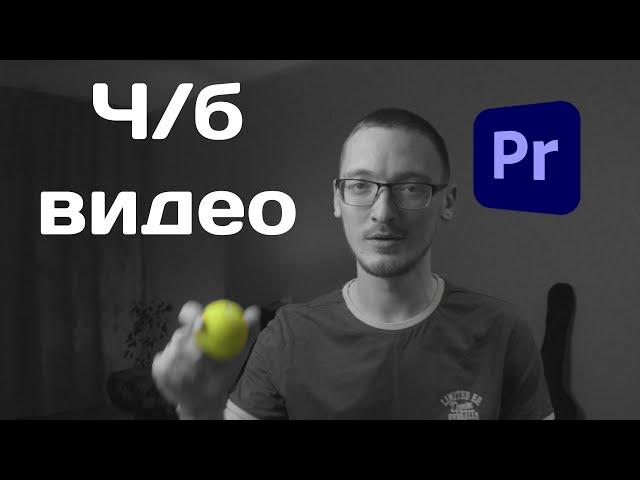 Как сделать видео черно белым в Premiere pro