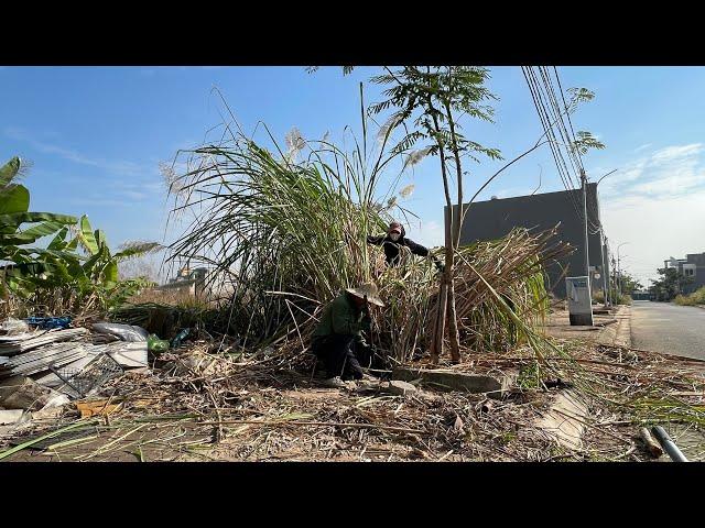 The bamboo girl lives by a sidewalk full of trash and a foul smell; we cleaned it, what about you?